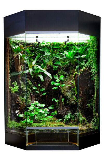 Terrariums and Décor See an Influx of Style